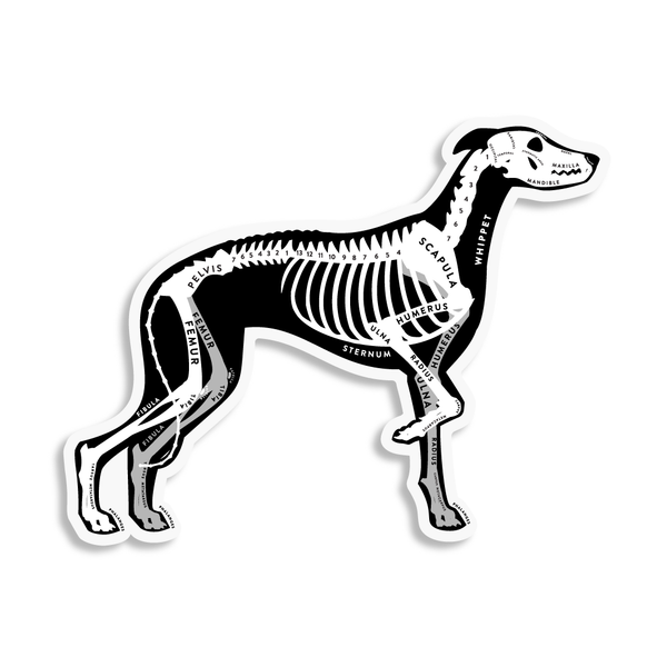 Whippet Skin & Bones Vinyl Sticker (3 pack)